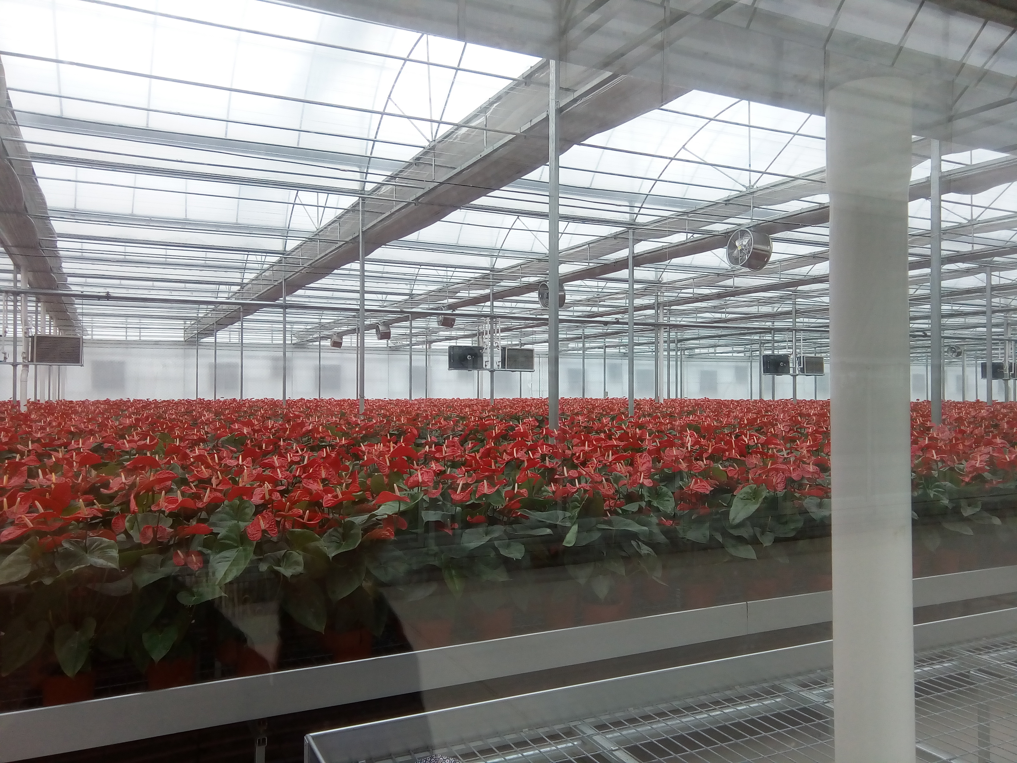 飛龍農(nóng)業(yè)溫控：為中國農(nóng)業(yè)溫控插上科技的翅膀